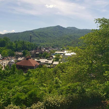 Gatlinburg Chateau Condo 309 Eksteriør bilde