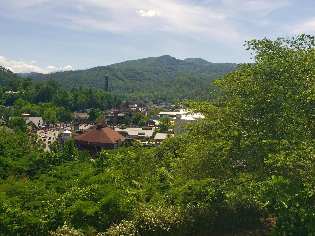 Gatlinburg Chateau Condo 309 Eksteriør bilde